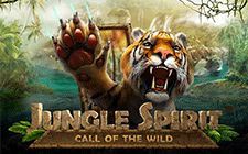 Игровой автомат Jungle Spirit